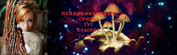 мяу мяу мука Пыталово