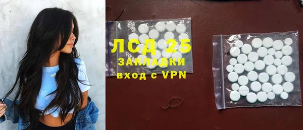 индика Галич