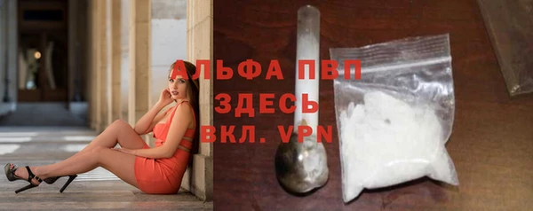 индика Гвардейск