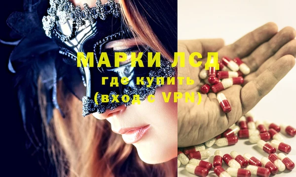 индика Галич