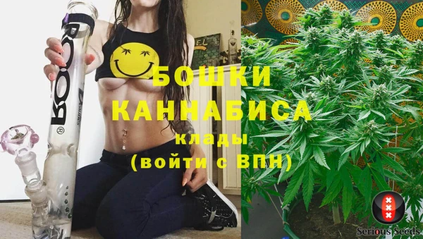 индика Галич