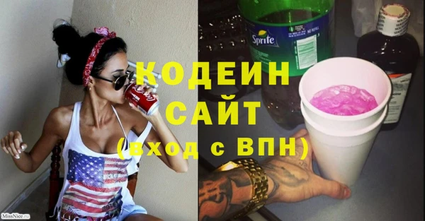 индика Галич