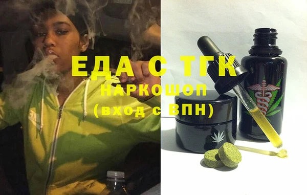индика Галич