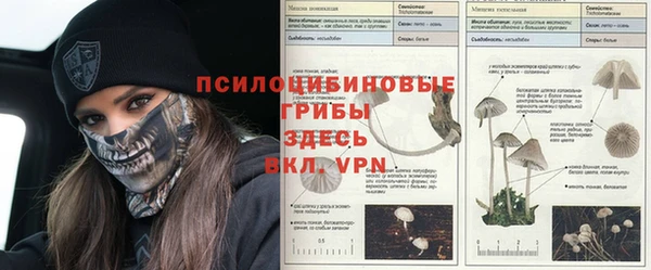 кокаин Гатчина